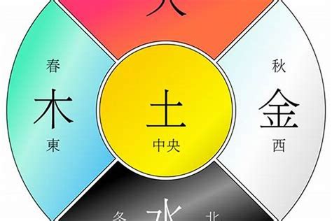 乙巳五行|乙巳年五行属性解析：火与木的交融